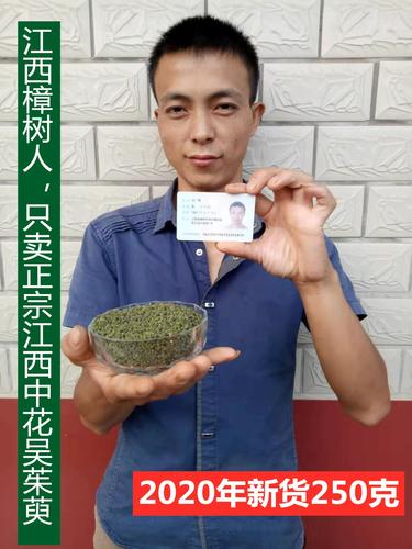 2023年江西中花吴茱萸天然无硫茶辣药材可打粉 涌泉穴