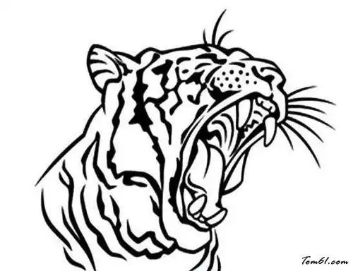 老虎吼叫简笔画