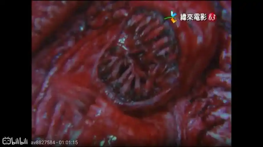 猛鬼食人胎哈哈简直是大红灯笼高高挂的魔幻颠覆喜剧