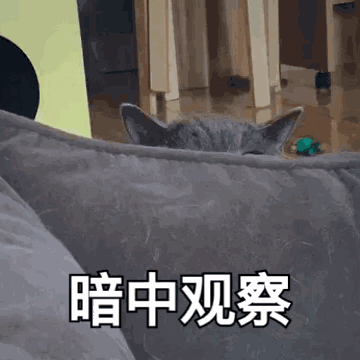 360_360gif 动态图 动图
