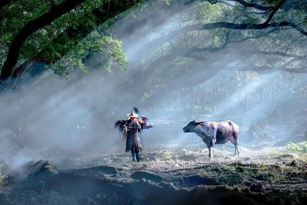 诗词:李子柒式的田园生活,有我们渴望已久的快乐和写意