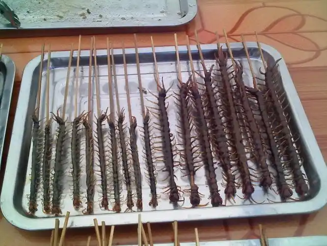 第四道:烤蜈蚣!