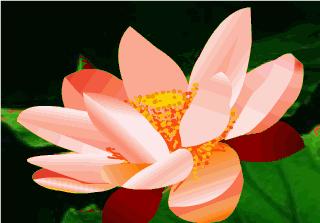 今天我要送给你 最真诚的祝福 见到的人都好有福 末伏时节,荷花盛开