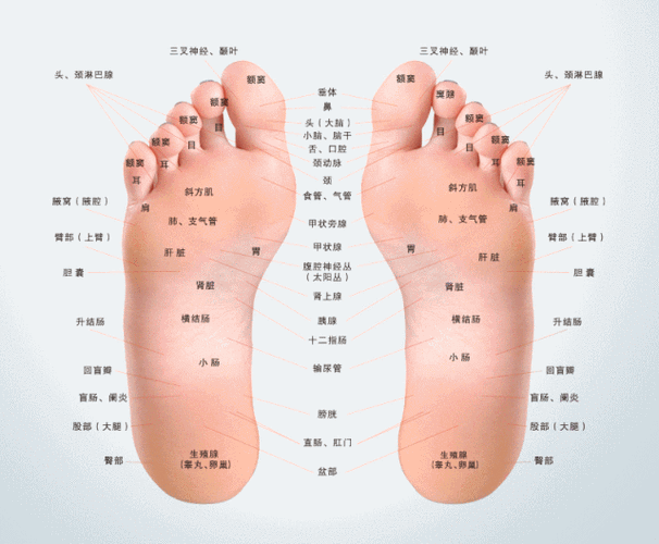 499元抢原价158元的半岛足疗中式足底足疗套餐泡脚手部按摩腿部按摩