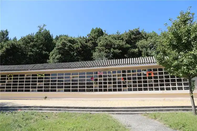 壁葬和墓地葬哪个好?