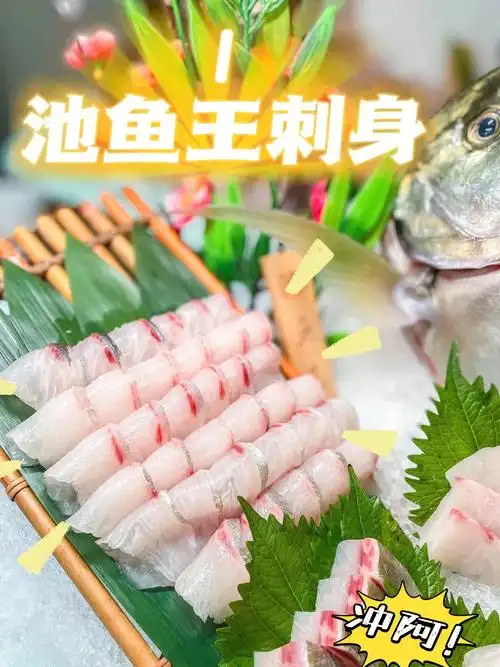 73 「池鱼王刺身」06168/斤 推荐指数:五星池鱼王薄到透光,入口鲜