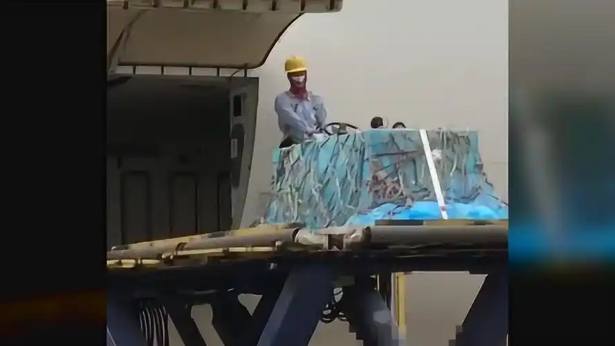 高以翔水晶棺抵台!高以翔大哥现身接弟弟回家,双手合十谦逊有礼