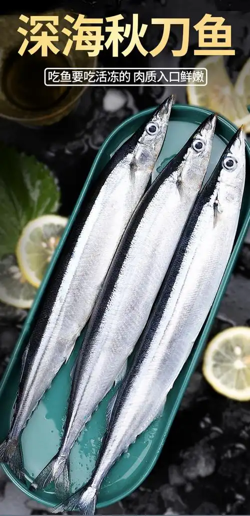 新鲜海捕深海秋刀鱼鲜活冷冻秋刀鱼海鲜日式烧烤食材海鱼水产鲜活船冻