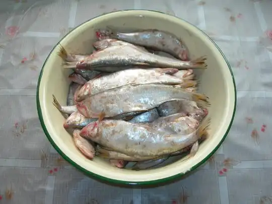 【菜谱换礼】香酥黄剑鱼的做法