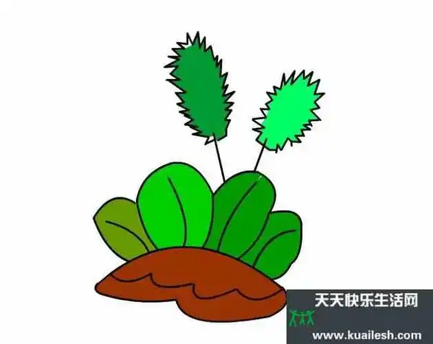 草的简笔画彩色步骤简单