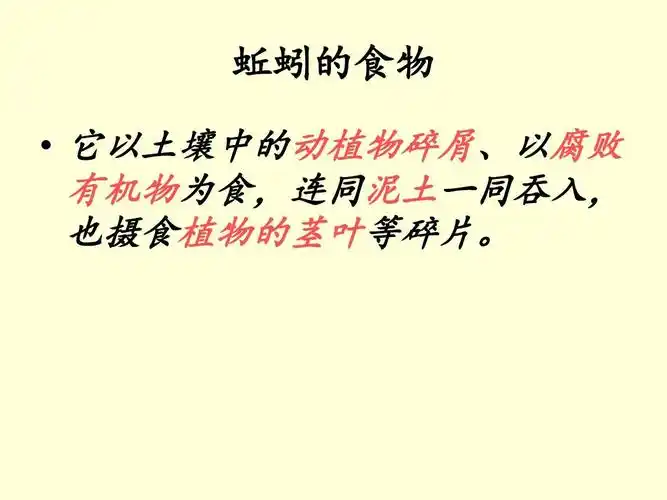 蚯蚓的食物   它以土壤中的动植物碎屑,以腐败 有机物为食,连同泥土
