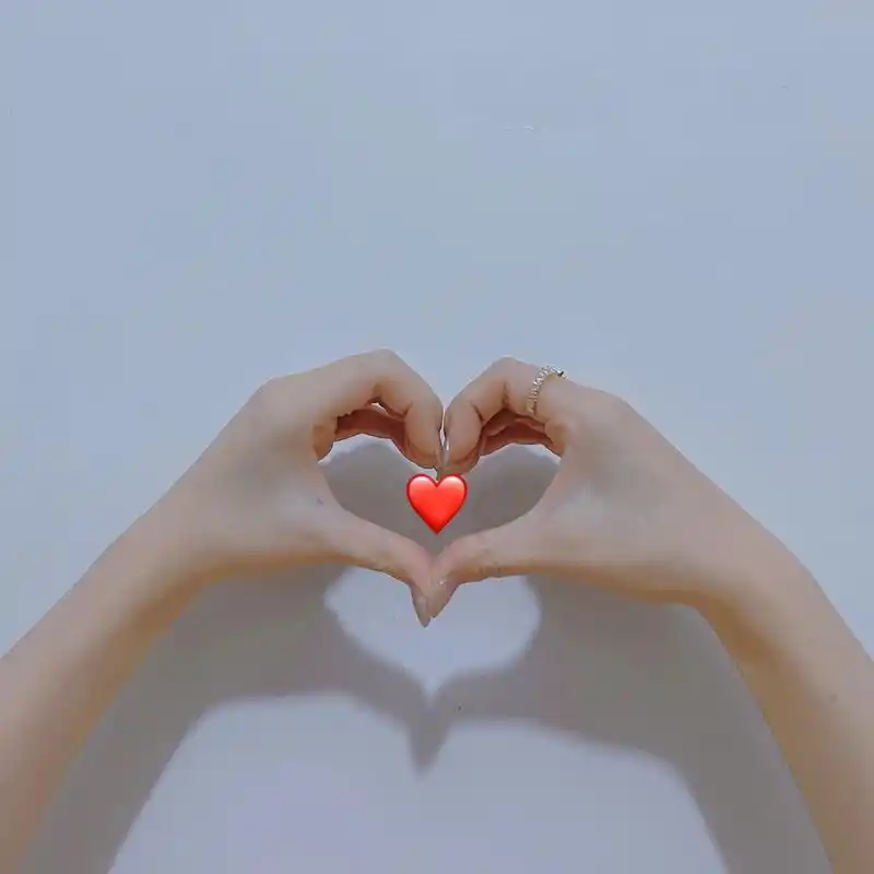 手势 比心 爱心   元旦在家无聊07 原相机拍摄,后期调滤镜,贴纸 get