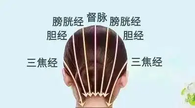 头是人体最重要的器官,中医讲头皮一根皱,脸上六条纹,头上经络 - 抖音
