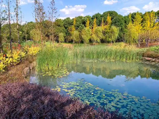 昆山森林公园故事套故事