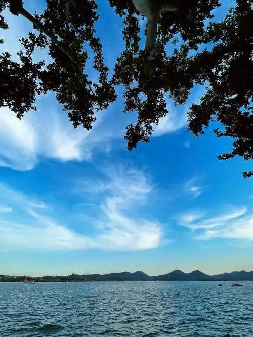 1080_1441竖版 竖屏