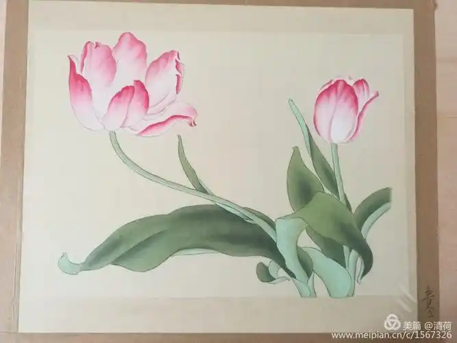 工笔画临摹一一郁金香