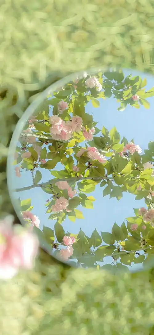 这几天在用的三张壁纸/背景图