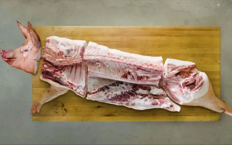 【猪年大吉吧】专业屠夫教你如何完美的一步步庖丁解半扇猪 @柚子猪