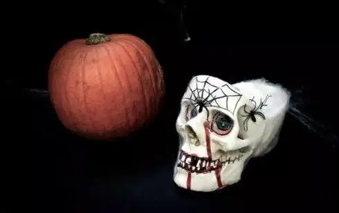 设计美学分享|骷髅头收纳盒