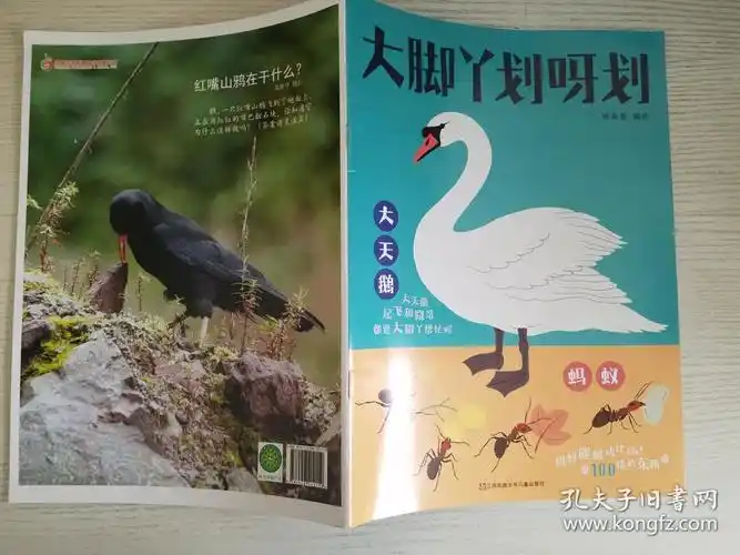 大脚丫划呀划【实物拍图 品相自鉴】