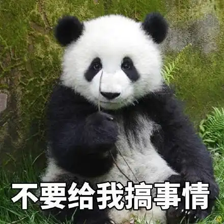 大熊猫 超萌 表情包