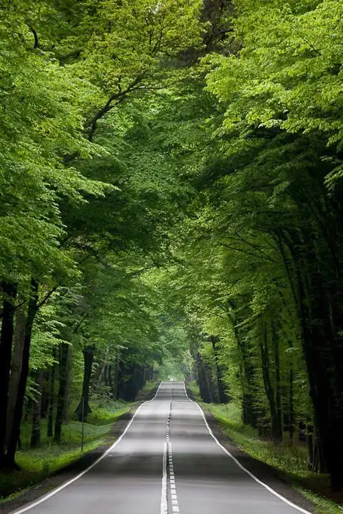 1200_1800竖版 竖屏