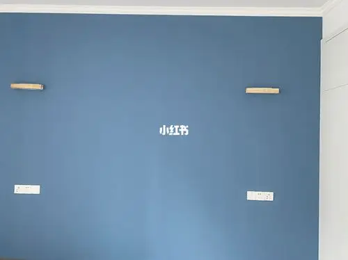 我们喜欢的样子漆是德国舒尔茨,小红书上参考比较少,我参考的立邦灰蓝