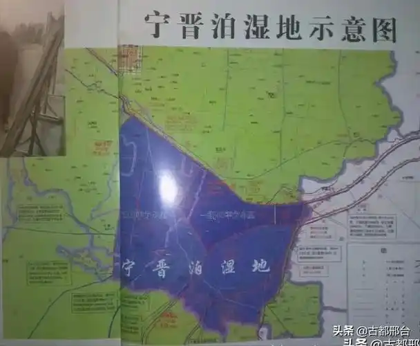 命运不同的邢台大陆泽湿地和邢台宁晋泊湿地