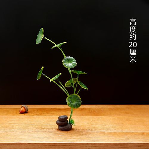 菜品刺身摆盘装饰花草装盘点缀创意冷菜围边小花小摆件 象棋石小荷叶