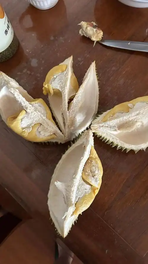 xmsj正宗泰国长柄猫山王榴莲新鲜当季水果带壳一整个绵密丝滑浓郁香甜