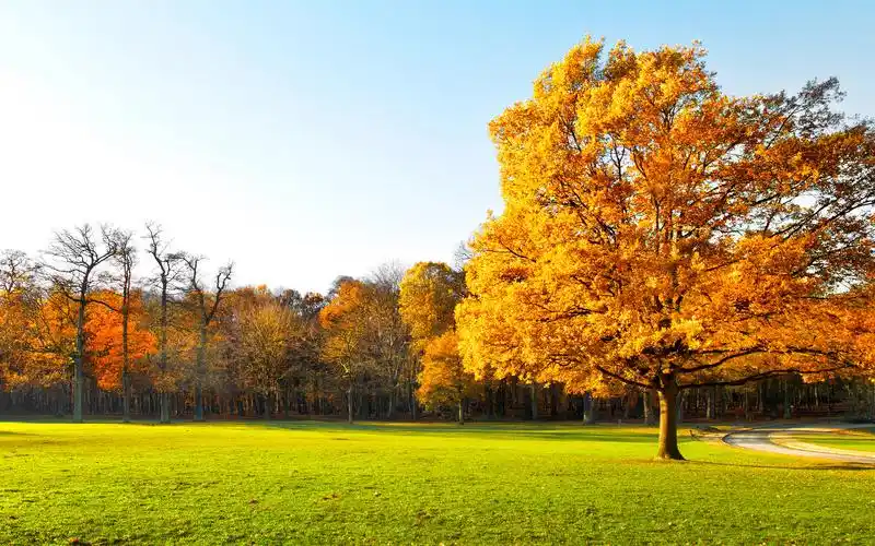 大全电脑桌面壁纸下载第二辑高清大图预览1680x1050_风景壁纸下载_美
