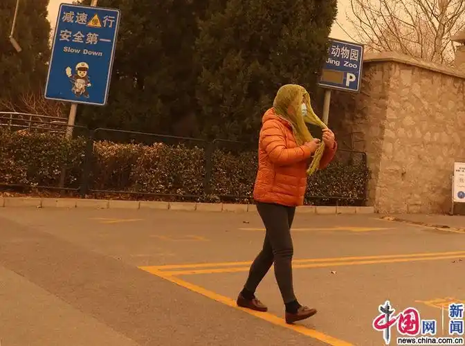 沙尘暴笼罩下的北京西直门外,一位行人用纱巾将自己包裹起来抵御沙尘