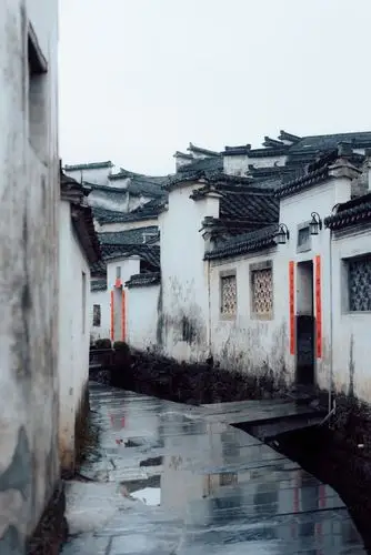 自驾最美省道,徽州的粉墙黛瓦之下,藏着这份花海春意