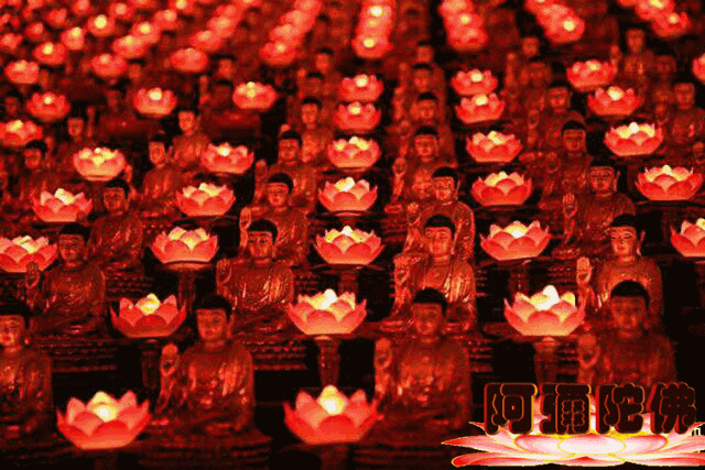 人们常常把三宝喻为明灯,照除众生的黑暗,光明代表智慧,力量,温暖