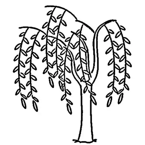 柳树简笔画 - 简单简笔画