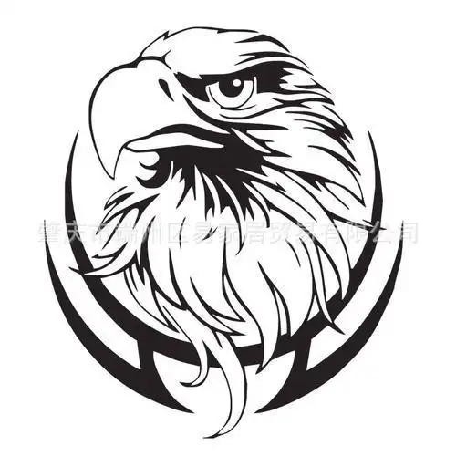 正面鹰头的简笔画