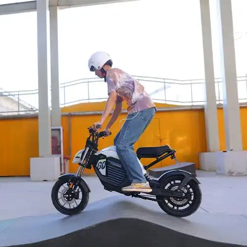 摩兽新国标魔兽电动车成人电瓶自行车女生小型跨骑电车摩托女士