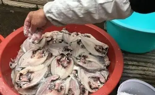 年味山珍海味都比不过普陀的这碗槽鱼