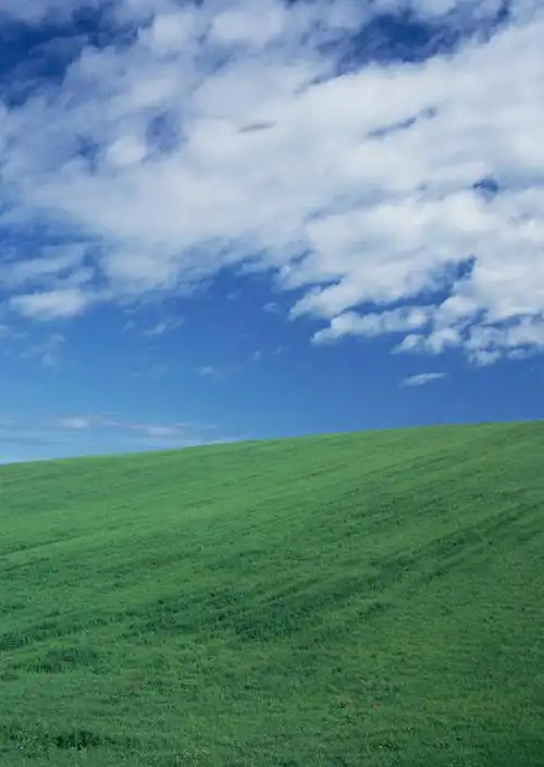 无人,竖图,室外,白天,正面,旅游,度假,草地,草原,美景,植物,北海道