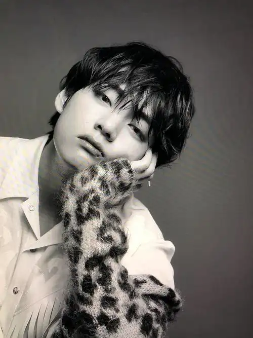 防弹少年团 金泰亨