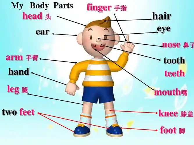 外研版_七下__module_11_body_language_unit_2_h