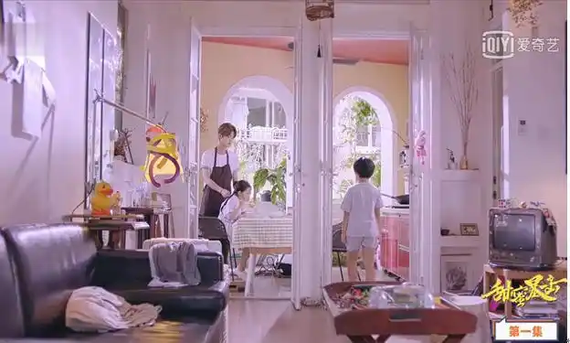 花园洋房四合院!