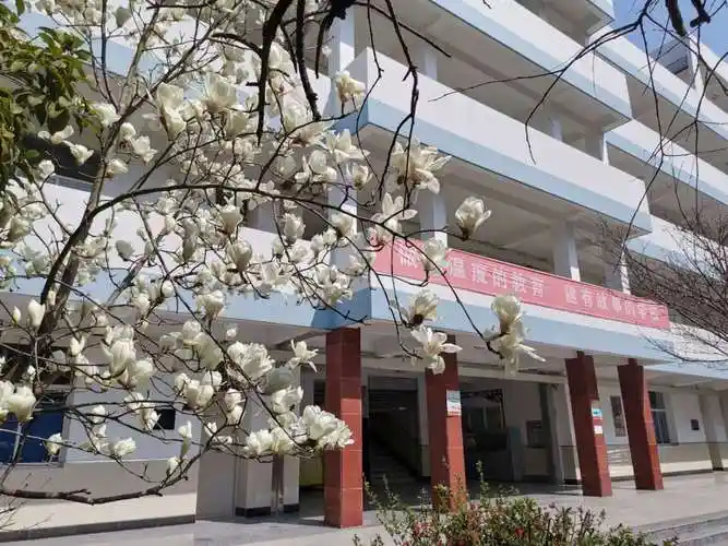 竹西中学初二学生返校指南-安全法治-扬州市竹西中学