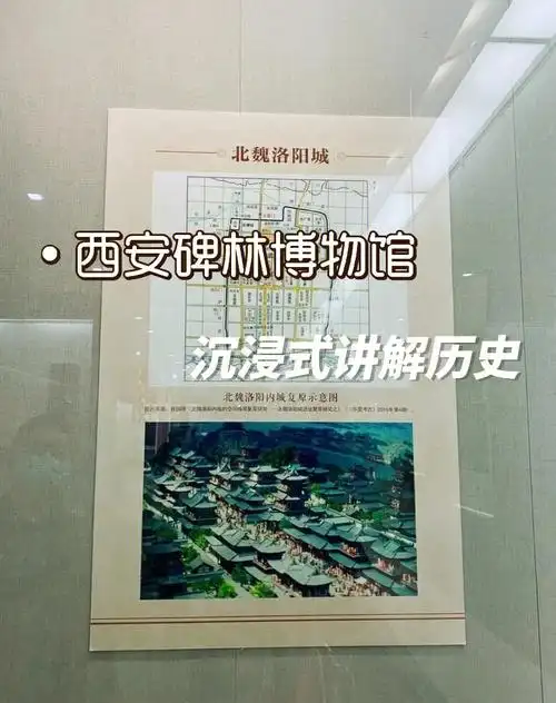 西安旅游西安碑林博物馆沉浸式讲解历史