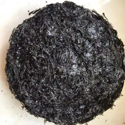 批发2018年新货烘干头水紫菜 60片/斤 无沙特级紫菜干货