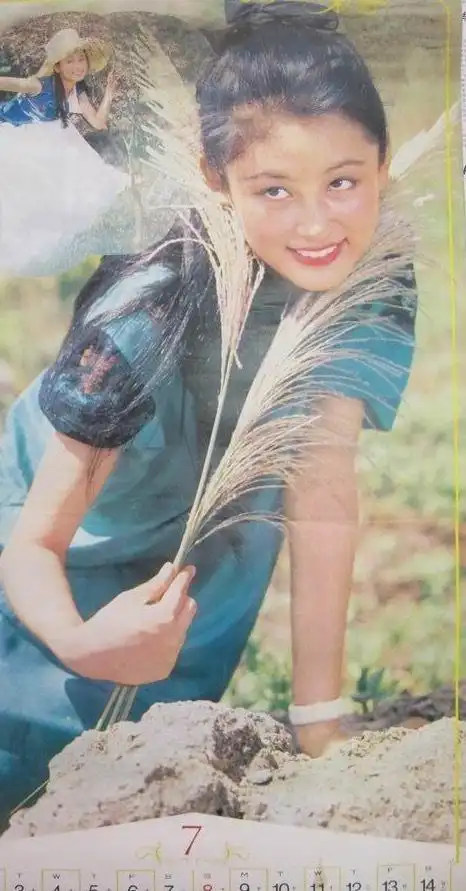 二十出头的陈红,是挂历上最频繁出现的明星(附8张陈红挂历照)