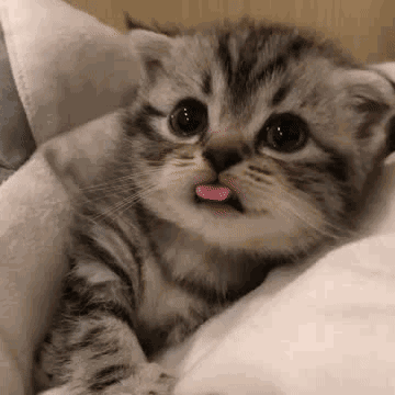 可爱表情包萌娃表情包