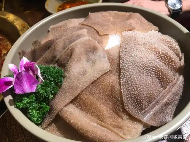 成都最好吃的毛肚火锅,毛肚那是一绝,没去过你会后悔!