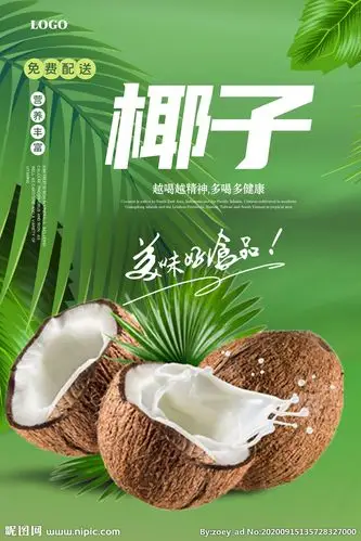椰子海报图片