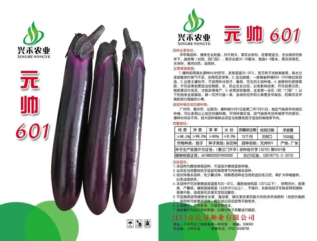 元帅601新品种产量高,果型漂亮,挂果满满的,想种冬茄朋友们 - 抖音